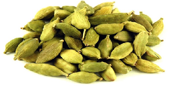 قیمت هل اکبر عمده