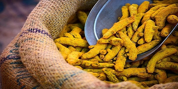 زردچوبه ارجستان هند