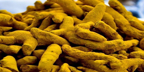 فروش عمده زردچوبه