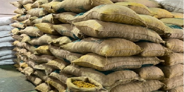 زردچوبه قلم فله وارداتی