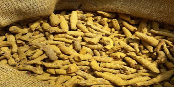 زردچوبه قلم فله