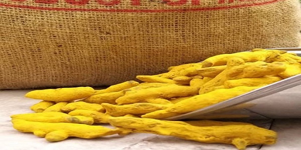 زردچوبه کیسه ای فله ارزان