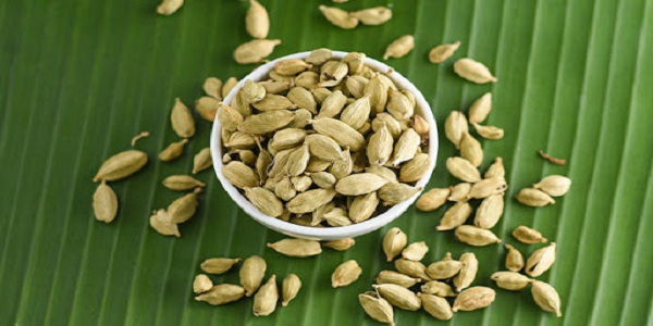 فروش عمده هل اکبر