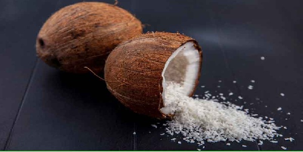 پودر نارگیل سریلانکا چرب