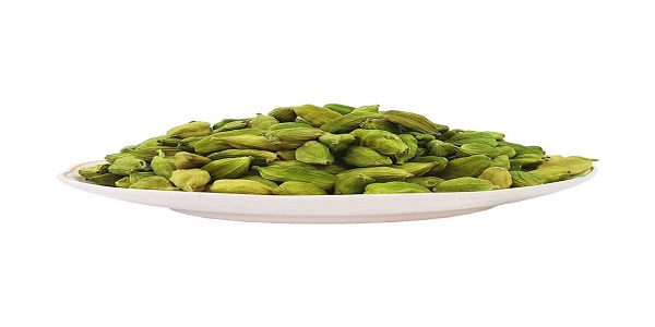 فروش هل اکبر در مشهد