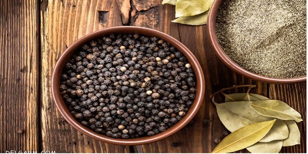 خواص فلفل سیاه و مصارف دارویی
