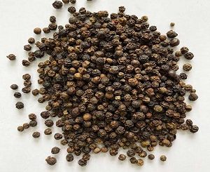 فروش عمده فلفل سیاه در مشهد