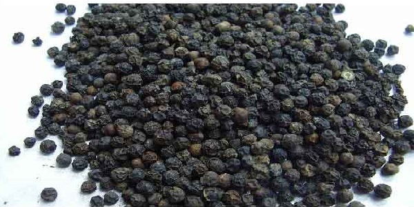 دانه فلفل سیاه