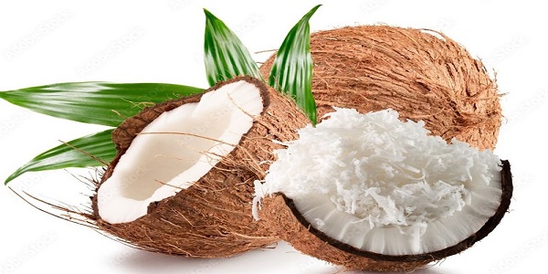 قیمت پودر نارگیل چرب