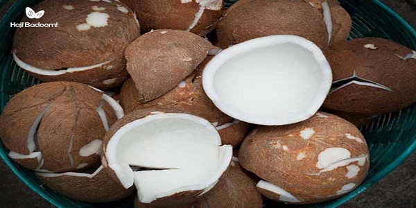 موارد مصرف پودر نارگیل چرب