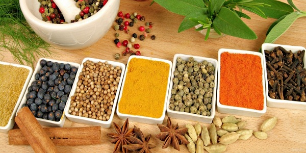 ادویه های مورد نیاز فست فود