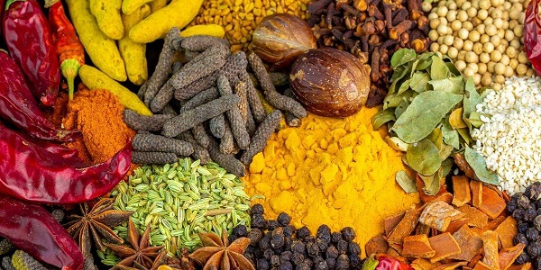 تامین ادویه جات عمده در مشهد