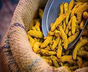 فروش عمده زردچوبه قلم دال کیسه ای