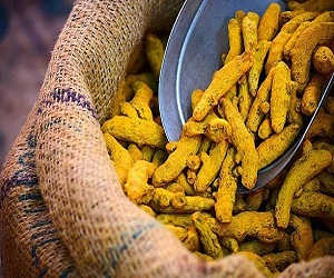 فروش عمده زردچوبه قلم دال کیسه ای