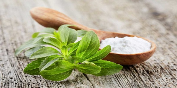 شیرین کننده طبیعی استویا