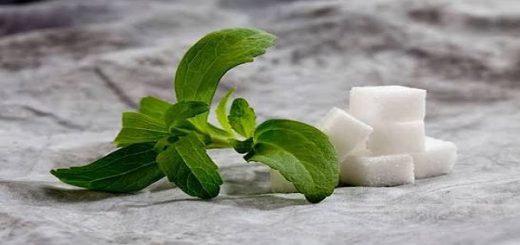 استویا شیرین کننده طبیعی مخصوص قنادی ها