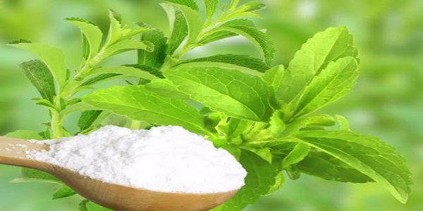 خصوصیات شیرین کننده طبیعی استویا