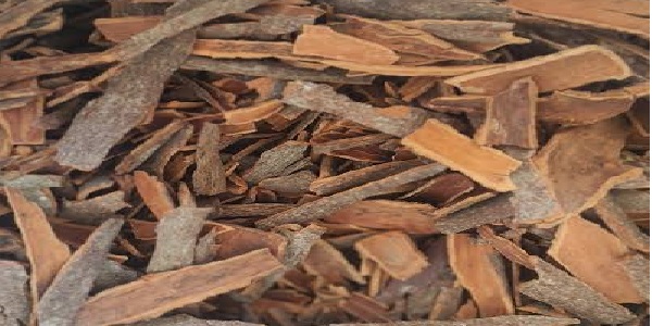 چوب دارچین شکسته کیسه ای