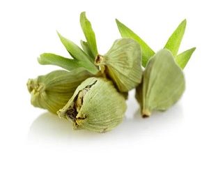 خرید عمده انواع هل هندی در ایران